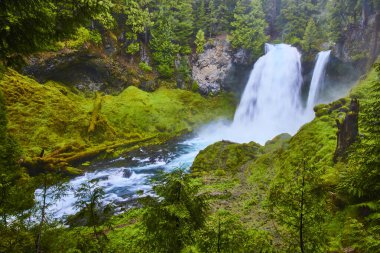 Oregon 'daki McKenzie Nehri' ndeki Sahalie Şelalesi 'nin sakin manzarası. Güçlü şelaleyi çevreleyen yemyeşil orman, eko-turizm, doğa koruma ve açık hava için mükemmel bir ortam yaratıyor.