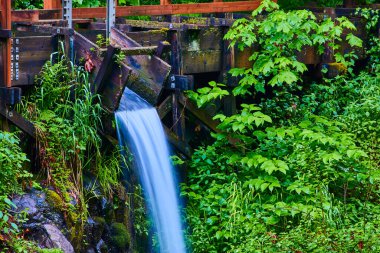 Washington, Mill 'deki Cedar Creek Grist Mill' in sakin manzarası. Etrafı yemyeşil ormanlarla çevrili. Pürüzsüz akan bir şelale, geleneksel su oluğundan aşağı dökülür. Doğal güzelliği ve tarihi güzelliği somutlaştırır.