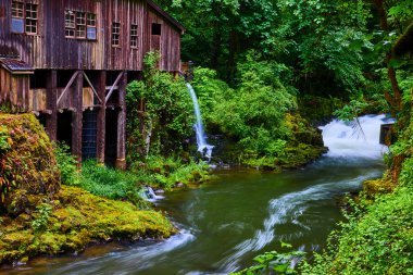 Washington 'daki Cedar Creek Grist Mill' in sakin manzarası, çağlayan şelalesi ve canlı nehri olan yemyeşil ormanlarda yuva yapmış, sükuneti ve doğal güzelliği çağrıştırıyor. Seyahat ve koruma için mükemmel.