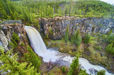 Tumalo Şelaleleri 'nin, yemyeşil çam ağaçlarıyla çevrili Deschutes Ulusal Ormanı' ndaki engebeli uçurumlardan aşağı düşüşü nefes kesici bir manzara. Açık hava macerası ve doğa turizmini desteklemek için mükemmel..