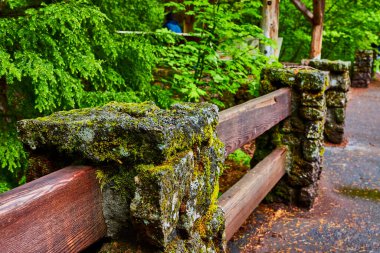 Oregon 'daki McKenzie Nehri' ndeki Sahalie Şelalesi Patikası 'nın dingin güzelliğini keşfedin. Yosun kaplı bir kırsal çit bu yemyeşil ormanda nemli bir yol çiziyor. Huzuru ve macerayı doğada kucaklıyor..