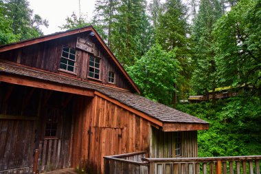 Washington 'ın yemyeşil ormanlarında yuva yapmış Cedar Creek Grist Mill köylü cazibesi ve tarihsel önemi sergiliyor. Canlı yeşillik ve ahşap bir yaya köprüsü ile huzurlu ormanlık alanı keşfetmek
