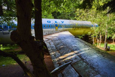 Abandoned commercial airplane in a lush Oregon forest near Portland. Nature reclaims the aircraft, with moss and rust highlighting its historical decay. A striking scene of technology overtaken by clipart