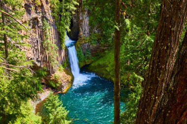 Clearwater, Oregon 'daki Toketee Falls' un nefes kesici manzarası. Şelale, gür ormanlarla çevrili canlı mavi bir havuza dalıyor. Doğa turizmi, korunma ve seyahat için mükemmel.