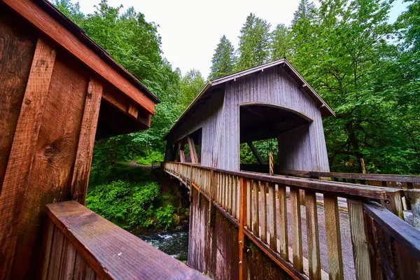 Stock image Explore the rustic charm of the Cedar Creek Grist Mill, featuring a beautifully preserved wooden covered bridge set amid lush greenery in Washingtons tranquil woodland, perfect for nature and history