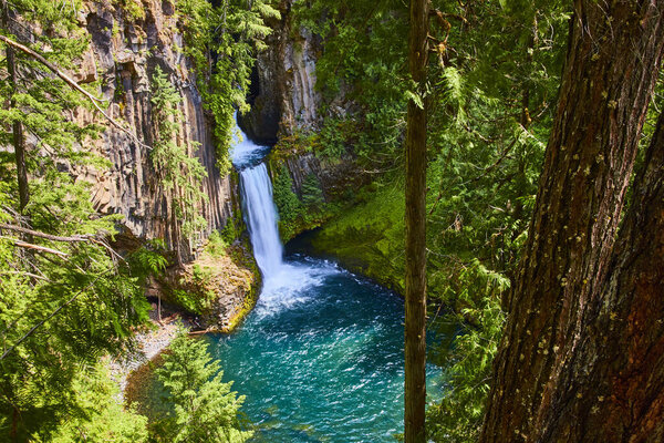 Breathtaking view of Toketee Falls in Clearwater, Oregon. Cascading waterfall plunges into a vibrant blue pool surrounded by lush forest. Perfect for nature tourism, conservation, and travel