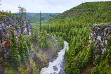 Tumalo Falls 'un sunduğu Oregon' daki yemyeşil Desparutes Ulusal Ormanı 'nın havadan görünüşü. Sarmal bir nehir engebeli uçurumları ve çam ağaçlarını kesiyor. Sersemletici doğal güzellik açık hava macerası için mükemmel.