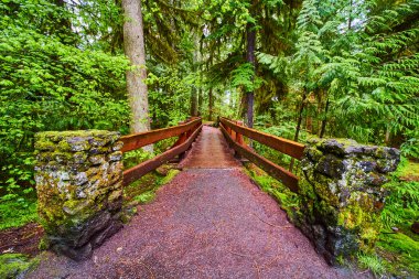 Oregon 'daki Sahalie Şelalesi Yolu' ndaki McKenzie Nehri 'nin dingin güzelliğini keşfedin. Kırsal bir ahşap köprü sizi bereketli, sakin ormanı keşfetmeye davet ediyor. Doğa meraklıları için mükemmel bir yer.