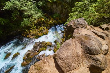 Toketee Şelalesi yakınlarındaki Clearwater, Oregon 'da yoğun yeşil yapraklar ve yıpranmış kayalarla çevrili engebeli bir nehir geçidinden kristal berraklığında turkuaz sular akıyor. Doğa ve macera için mükemmel.
