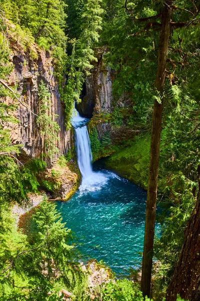 stock image Experience the serene beauty of Toketee Falls, Oregon, where a powerful waterfall cascades into a turquoise pool amidst lush, dense forest. Perfect for themes of nature, conservation, travel, and