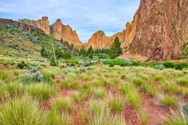 Oregon 'daki Smith Rock State Parkı' ndaki engebeli uçurumlar ve yemyeşil vadiler. Huzurlu bir nehir, canlı yeşil arazide dolaşarak doğal güzellik ve maceranın nefes kesici bir sahnesini yaratır..