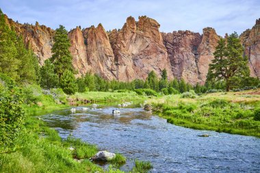 Oregon 'daki Smith Rock State Park' ın sakin manzarası. Sakin bir nehir, engebeli kayalıklarla çevrili yemyeşil çayırlar boyunca akar. Beyaz kuşlar bu manzaraya biraz yaban hayatı katıyor. Tam oldu.