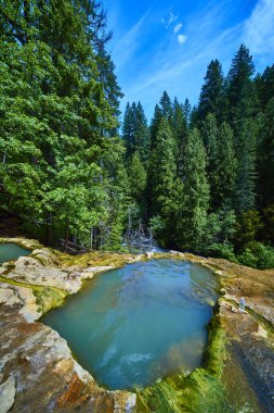Oregon 'daki Umpqua Kaplıcaları' ndaki yemyeşil ormanın ortasında durgun turkuaz termal havuz. Eko-turizm, refah inzivası ve açık hava maceraları için mükemmel saf doğal güzellik. Sükunet içinde tecrübe edin