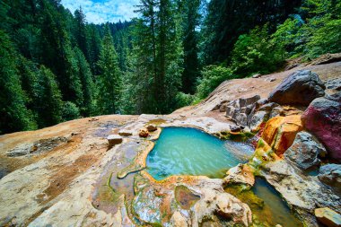 Idleyld Park, Oregon 'daki dingin Umpqua Kaplıcalarını keşfedin. Bir ormana yerleşmiş, mavi-yeşil sularıyla bu doğal sıcak kaynak dinlenmek ve doğa için mükemmel bir dağ sığınağı sunuyor.