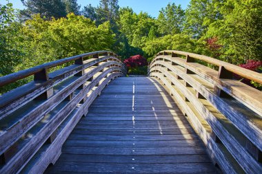 Oregon, Gresham Japon Bahçesi 'ndeki kıvrımlı ahşap köprü canlı yeşilliklerle dolu verimli bir parkın içinden geçiyor. Güneş ışığı ağaçların arasından süzülüp sakin ve davetkar bir yol oluşturuyor. Seyahat için mükemmel.