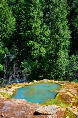 Idleyld Park, Oregon 'un yemyeşil ormanlarına yerleşmiş sakin doğal kaplıca. Umpqua Kaplıcaları 'nın dingin güzelliğini, turkuaz sularıyla ve el değmemiş vahşi doğasıyla yaşayın..