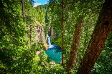 Clearwater, Oregon 'daki Toketee Falls' un sakin güzelliğini keşfedin. Bu tenha şelale, açık hava maceraları ve doğa için mükemmel, yemyeşil bir ormanla çevrili masmavi bir nehre dökülür.