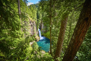 Discover the tranquil beauty of Toketee Falls in Clearwater, Oregon. This secluded waterfall cascades into an azure-blue river, surrounded by a lush forest, perfect for outdoor adventures and nature clipart