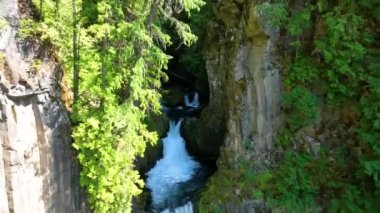 Oregon 'daki nefes kesen Toketee Falls' u, gür ormanlar ve kayalık kayalıklar arasından çağlayarak huzurlu bir vaha oluştururken tecrübe edin. Canlı yeşillik ve güçlü su akışı,