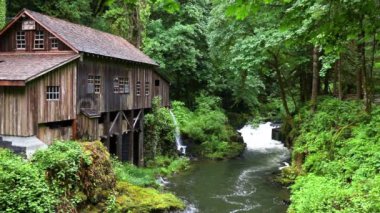 Sabit çekim: Washington, Woodland 'daki Cedar Creek Grist Mill. Bu kırsal ahşap değirmen, yemyeşil bankalara ve canlı ormanlara karşı kurulmuş, serin bir kırsal Americana görüntüsü sunuyor.