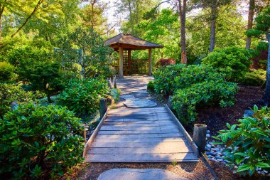 Oregon 'daki Gresham Japon Bahçesi' nde sakin bir öğleden sonra. Büyüleyici bir ahşap çardak seni yemyeşil bir patikaya davet ediyor meditasyon için mükemmel ya da olgun ağaçların arasında huzurlu bir gezinti için.