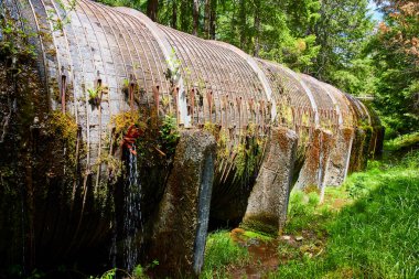 Clearwater, Oregon 'da yemyeşil bir orman boyunca yosun kaplı, paslı bir boru hattı uzanıyor. Güneş ışığı ağaçların arasından süzülerek endüstriyel bozulma ve canlı doğa arasındaki zıtlığı vurgular..