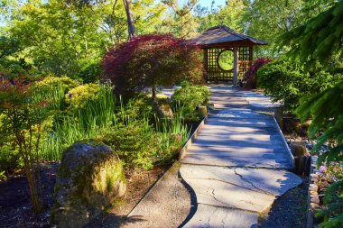 Gresham, Oregon 'daki sakin Japon bahçesinde geleneksel ahşap bir çardağa uzanan taş bir patika var. Yeşillik ve canlı yeşillik dikkat çekmek için mükemmel sakin bir kaçış yaratır.