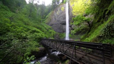 Columbia Vadisi, Oregon 'da Latourell Falls' un sabit çekimi. Şelale, yemyeşil ve yosunlarla çevrili bazalt bir uçurumun üzerinde çağlıyor. Aşağıdaki kırsal ahşap köprü huzur katıyor, resim gibi.