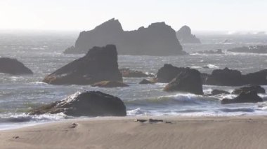 Brookings Oregon 'daki Harris Beach State Park' ın sakin kıyı güzelliği. Okyanustan büyük, pürüzlü kayalar yükseliyor. Dalgalar onlara çarpıyor. Yumuşak, altından bir parıltı altında.