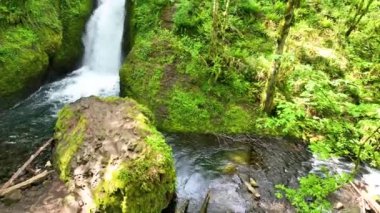 Columbia Gorge Oregon 'daki Gelinlik Şelalesi' nin hava manzarasında, yemyeşil ve yoğun ormanlarla çevrili yosun kaplı bir uçurumdan dökülen görkemli bir şelale görülüyor.
