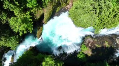 Washington 'daki Spirit Falls, yemyeşil ormanlarla çevrili turkuaz sulara akmaktadır. Güneş ışığı canlı renkleri yükseltir, doğanın gücünü ve huzurunu yakalar