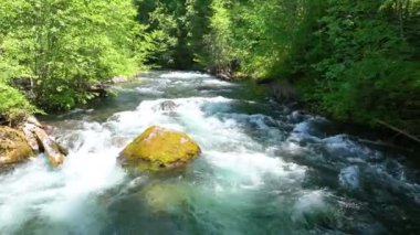 Hava Sabit Çekim: Idleyld Park Oregon 'daki Umpqua Kaplıcaları' nın sakin sahnesi. Canlı bir nehir, yemyeşil ve gün ışığında yükselen ağaçlarla çevrili yosun kaplı bir kayanın etrafında akar..