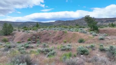 Havadan Uçarak İlerleme: Oregonlar üzerinde süzülür durgun kırsal kesimde sagebrush ile yuvarlanan tepeler, yeşil bitki örtüleri ve seyrek kozalaklı ağaçlar. Bu kırsal kesimin huzur dolu güzelliğini hisset.