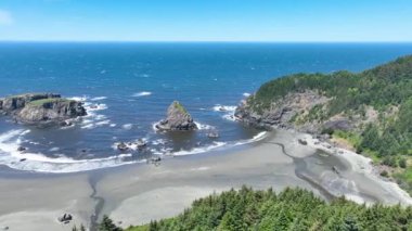 Oregon Brookings Hava İzleme Birimi Samuel H. Boardman Eyalet Sahnesi Koridoru Balina Kafa Sahili. Geniş plaj ve engebeli kaya oluşumları açık mavi bir ormanın altında yemyeşil bir ormana karşı kurulmuş.