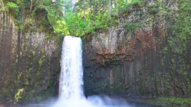 Scotts Mills, Oregon 'da Abiqua Falls' un nefes kesici güzelliğini tecrübe edin. Bu hava manzarası görkemli şelaleyi, yemyeşil yaprakları ve engebeli bazalt kayalıklarını yakalar.