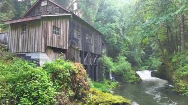 Woodland Washington 'daki sakin Cedar Creek Grist değirmeni canlı bir dere ve şelalenin yanındaki yemyeşil çimlerin arasında duruyor. Sıcak altın saat ışığı kırsal çekiciliğini arttırır.