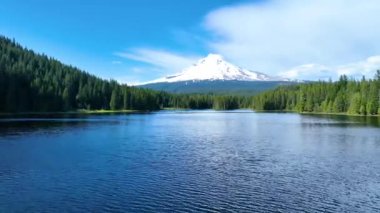 Aerial Fly Through Forward: Marvel at the serene Trillium Lake, around with yemyeşil orman, with the majestic Mount Hood high in the background. Oregon 'un huzurlu güzelliğini tecrübe et.