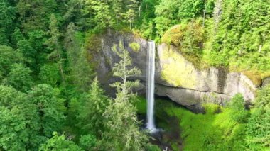 Latourell Falls 'un Oregon' daki Columbia Vadisi 'ndeki hava izleme görüntüsü. Şelale, bereketli ormanlarla çevrili, sarp bir uçurumdan aşağı dökülür. Güneş ışığı sıcak bir parıltı saçar.