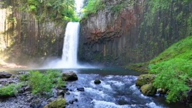 Oregon Scotts Mills Abiqua Şelalesi: Görkemli şelaleler bazalt kayalıklardan aşağı süzülerek yemyeşil ve yosun kaplı kayalarla çevrili sakin bir havuza dönüşür.