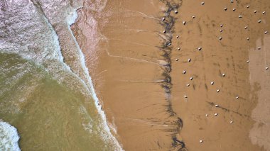 Michigan Gölü 'nün hava görüntüsü Kenosha, Wisconsin' de kumlu bir kıyıya vuruyor. Okyanus renkleri, parlak güneş ışığı altında deniz kabuklarıyla benekli altın kumlara karışıp doğal güzellik ve sükuneti yakalıyor..