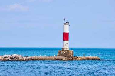 Kenosha, Michigan Gölü 'ndeki sakin sahil sahnesinde sakin mavi sular ve martılarla çevrili kayalık bir iskelede çarpıcı beyaz ve kırmızı bir deniz feneri görülüyor. Huzur ve huzur teması için mükemmel.