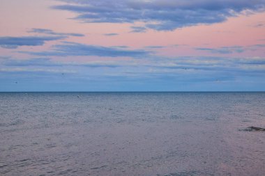 Wisconsin 'deki Michigan Gölü üzerinde sakin bir günbatımı sakin sulara yansıyan pastel bir gökyüzü. Kuşlar ufuk çizgisinde durgun bir kıyı sahnesi yaratıyor. Rahatlamak ve doğayı takdir etmek için mükemmel..