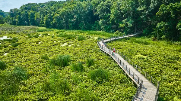 Michigan 'daki Galien River County Parkı' nın hava manzarasında yemyeşil arazide dolambaçlı bir sahil yolu görülüyor. Huzurlu doğa koruma alanı zengin ormanlarla keşif ve bağlantı kurmaya davet ediyor.
