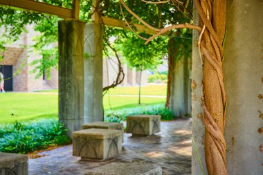 Notre Dame South Bend kampüsünde sarmaşıklarla sarmaş dolaş serin taş sütun pergola. Taş banklar ziyaretçileri yemyeşil ortamda dinlenmeye davet ediyor. Huzurlu bir geri çekilme yaratıyorlar. Sağlıklı ve sağlıklı olmak için mükemmel.