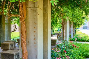 Serene garden at Notre Dame University in South Bend with aged stone columns, lush vines, and vibrant flowers. Perfect for promoting wellness, outdoor living, and scenic urban planning. clipart