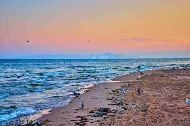 Michigan Gölü 'ndeki Benton Harbor Sahili' nde altın saat. Martılar sakin kıyı şeridinin üzerinde süzülür, deniz kabukları ve sürüklenen ağaçlar kumu dağıtır. Rahatlama, doğa ve sakin sahil temaları için mükemmel.