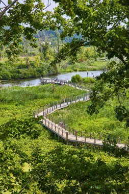 Michigan 'daki Galien River County Parkı' nda sakin bir deneyim yaşayın. Tahta bir tahta kaldırım, yemyeşil sulak alanlarda süzülerek nehrin kıyısındaki sakin bir gözlem güvertesine çıkar. Doğa aşıkları için mükemmel.