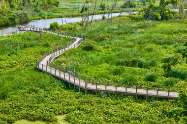 Michigan 'daki Galien River County Parkı' nın sakin sahil yolunu keşfedin, yemyeşil sulak alanlarda dokuma yaparak. Doğa gözlemi ve eko-turizm için mükemmel bir yer. Bu sakin patika, çok güzel bir kaçış yolu sunuyor.