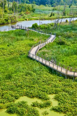 Michigan 'daki Galien River County Parkı' nın yemyeşil sulak alanlarını araştırın. Tahta sahil yolunda dolaş, huzurlu nehir manzaralarını seyret, ve kuş gözlemcilerini davet eden el değmemiş güzelliğin tadını çıkar.