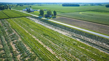 Fort Wayne, Indiana yakınlarındaki uçsuz bucaksız tarlaların, ekinlerin ve açık bir gökyüzünün altındaki çiftlik binalarının hava manzarası. Çiftçilik, tarım ve kırsal konular için ideal